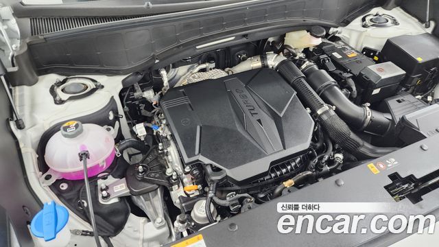 Hyundai Palisade (LX3) Gasoline 2.5T 2WD 9-Seater Exclusive 2026 — фото 6
