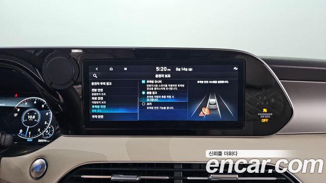 Hyundai Palisade Gasoline 3.8 4WD VIP 2021 — фото 16