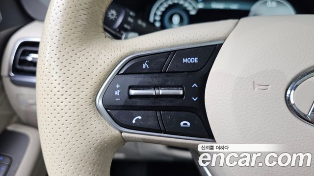 Hyundai Palisade Gasoline 3.8 4WD VIP 2021 — фото 18