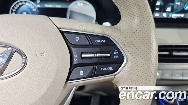 Hyundai Palisade Gasoline 3.8 4WD VIP 2021 — фото 19
