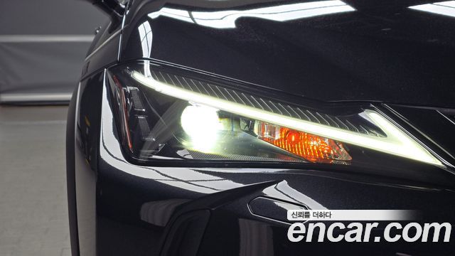 Lexus UX250h 2.0 2WD 2024 — фото 22