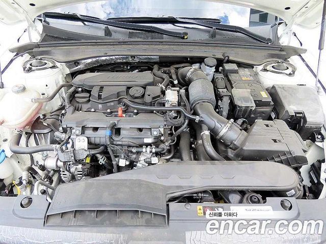 Kia K5 (III) 1.6 Turbo Noblesse 2026 — фото 6