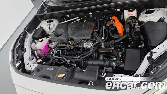 Toyota RAV4 (V) 2,5 4WD Hybrid LTD 2025 — фото 6