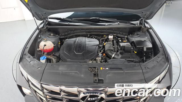 Hyundai Tucson (NX4) Diesel 2.0 2WD Modern 2022 — фото 6