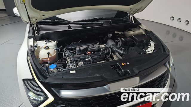 Kia Sportage (V) Gasoline 1.6 Turbo 2WD Nobleless 2022 — фото 6