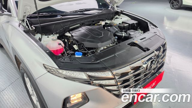 Hyundai Tucson (NX4) Diesel 2.0 2WD Modern 2023 — фото 6