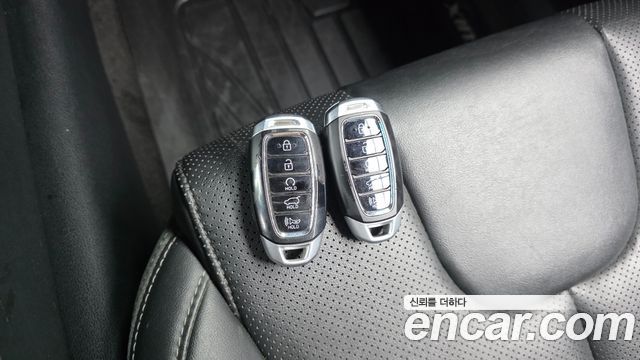 Hyundai Santa Fe (TM) Diesel 2.0 2WD Exclusive 2020 — фото 16