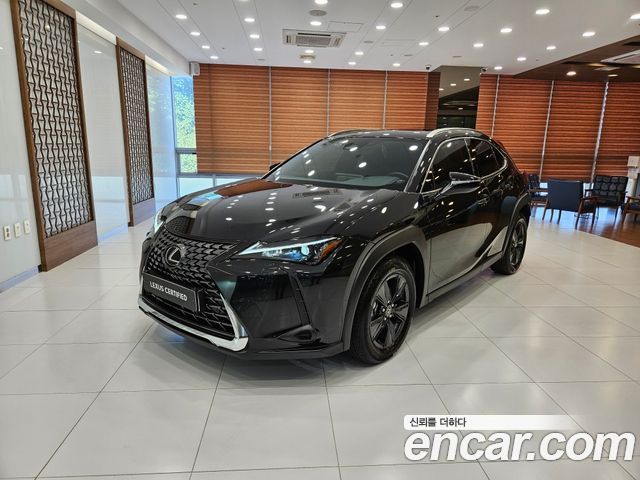 Lexus UX300h 2.0 2WD