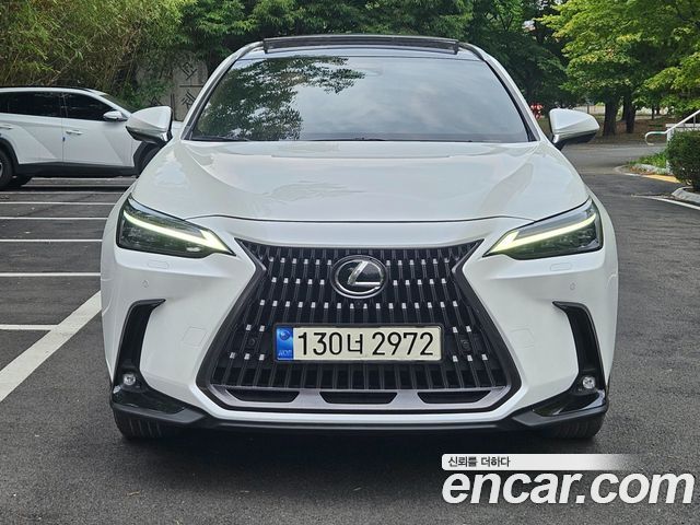 Lexus NX350h (II) Luxury