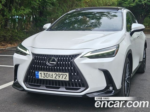 Lexus NX350h (II) Luxury 2024 — фото 2