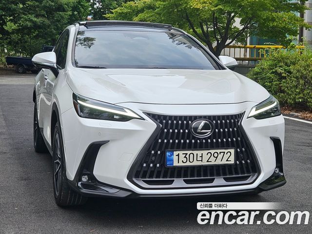 Lexus NX350h (II) Luxury 2024 — фото 3