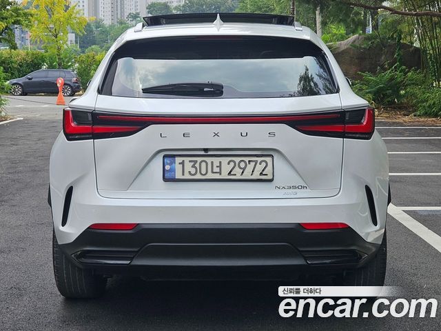Lexus NX350h (II) Luxury 2024 — фото 4
