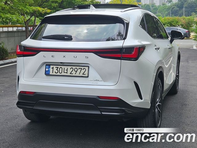 Lexus NX350h (II) Luxury 2024 — фото 5