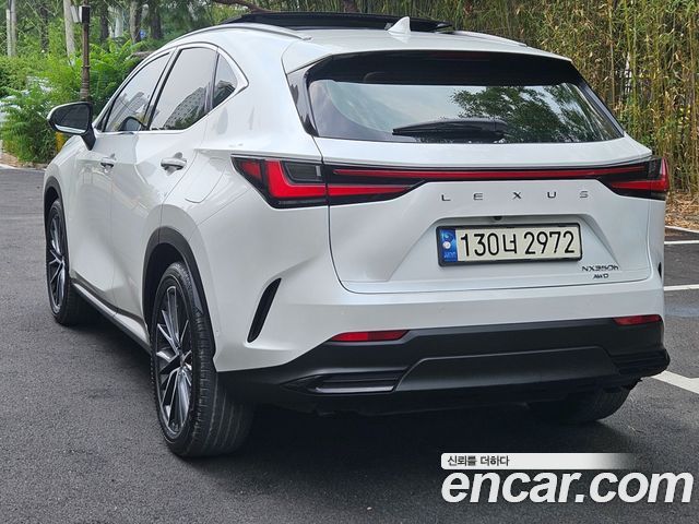 Lexus NX350h (II) Luxury 2024 — фото 6