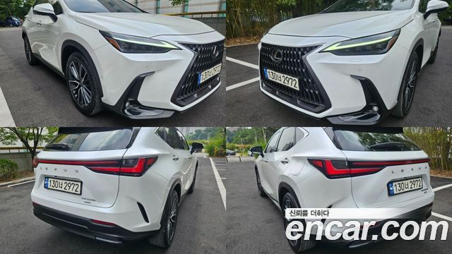 Lexus NX350h (II) Luxury 2024 — фото 7