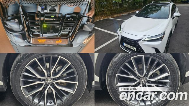 Lexus NX350h (II) Luxury 2024 — фото 24