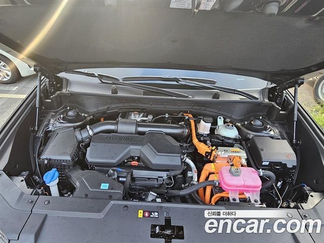 Hyundai Santa Fe (MX5) HEV 1.6 4WD Calligraphy 2025 — фото 6