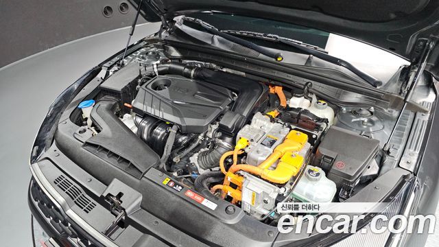 Kia K5 Hybrid (III) Noblesse 2020 — фото 6