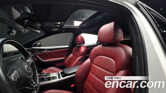 Kia Stinger 2.0 Turbo AWD Platinum 2020 — фото 18