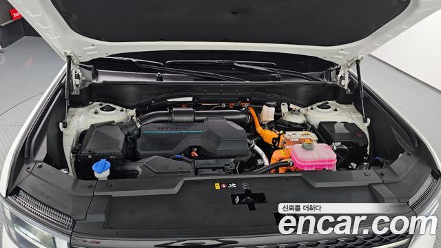 Hyundai Santa Fe (MX5) HEV 1.6 2WD Calligraphy 2024 — фото 6