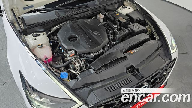 Hyundai Sonata (DN8) 2.0 Premium Plus 2023 — фото 6