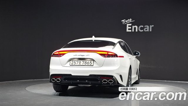 Kia Stinger Meister 2.5 Platinum 2021 — фото 4