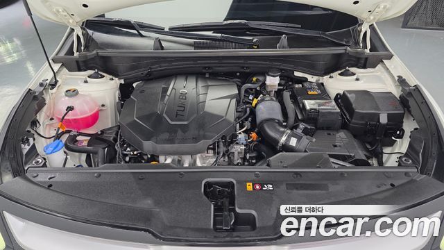Kia Sportage (V) Diesel 2.0 4WD Trendy 2023 — фото 6