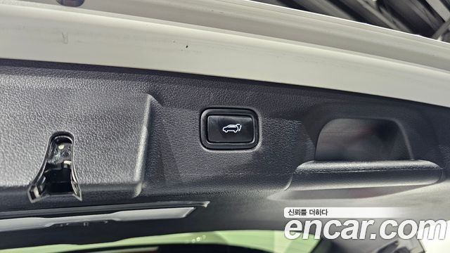 Hyundai Palisade Gasoline 3.8 4WD Prestige 2020 — фото 20