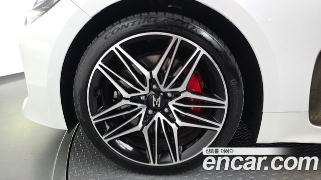 Kia Stinger Meister 3.3 GT AWD Masters Turbo Package 2021 — фото 5