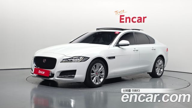 Jaguar XF (X260) 25t Portfolio