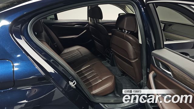 BMW 5 Series (G30) 520d xDrive Luxury Plus 2020 — фото 12