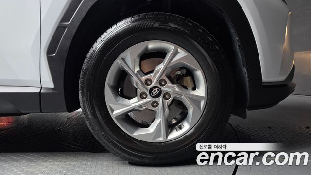 Hyundai Tucson (NX4) Diesel 2.0 2WD Modern 2023 — фото 21