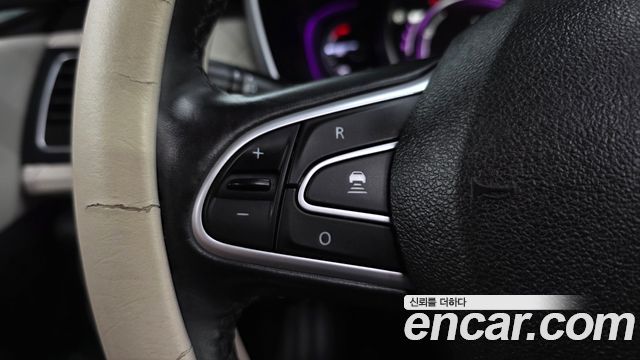 Renault Korea SM6 2.0 GDe RE 2019 — фото 18