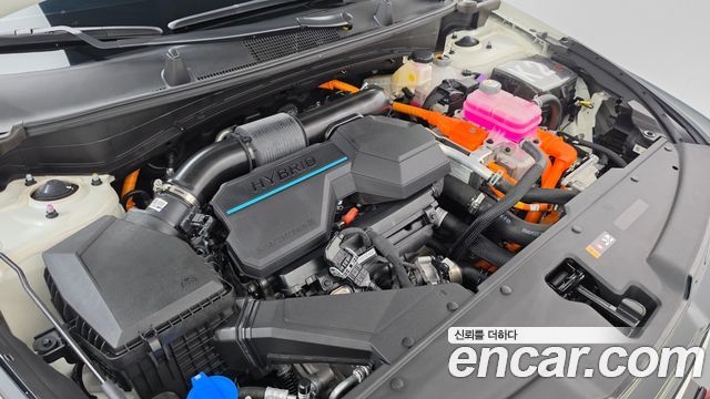 Kia Sportage Hybrid (V) 30Th Edition 2WD 2024 — фото 6