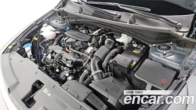 Kia Sportage (V) Gasoline 1.6 Turbo 2WD Noblesse 2026 — фото 6