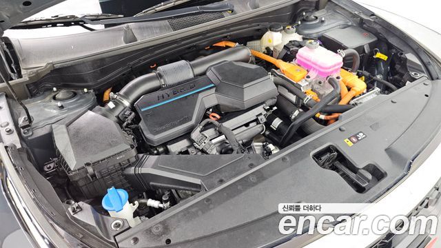 Kia Sportage Hybrid (V) Nobleless 2WD 2023 — фото 6