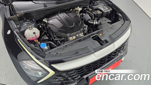 Kia Sportage (V) Diesel 2.0 2WD Trendy 2023 — фото 6