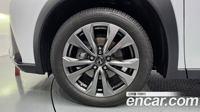 Lexus UX250h 2.0 F-Sport 2WD 2024 — фото 5