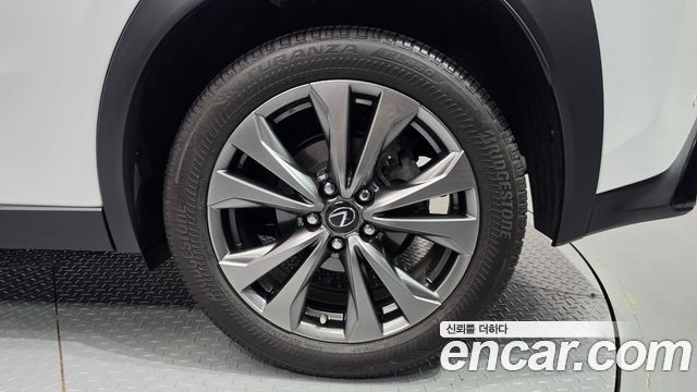 Lexus UX250h 2.0 F-Sport 2WD 2024 — фото 21