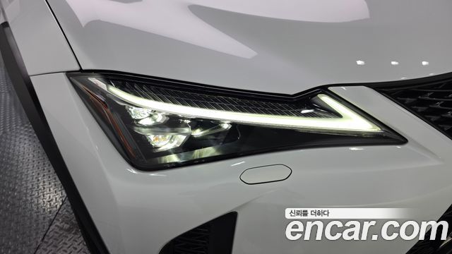 Lexus UX250h 2.0 F-Sport 2WD 2024 — фото 22