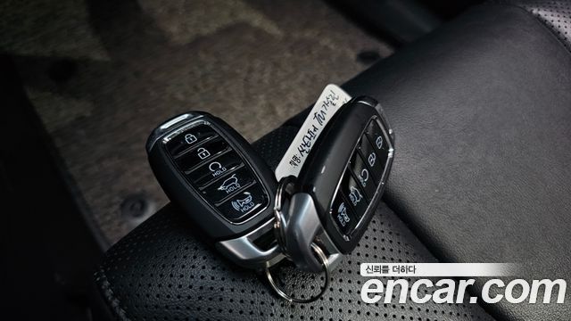 Hyundai Santa Fe (TM) Gasoline 2.0T 2WD Exclusive 2020 — фото 16