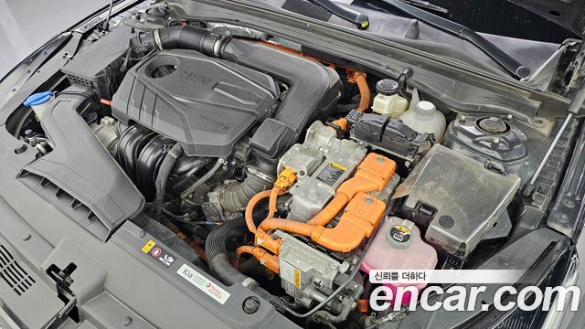 Kia K5 Hybrid (III) Prestige 2022 — фото 6