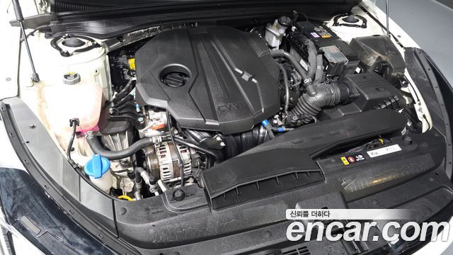 Kia K5 (III) 2.0 Noblesse 2024 — фото 6