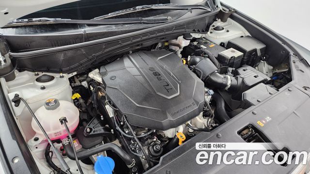 Hyundai Tucson (NX4) Diesel 2.0 2WD Modern 2023 — фото 6