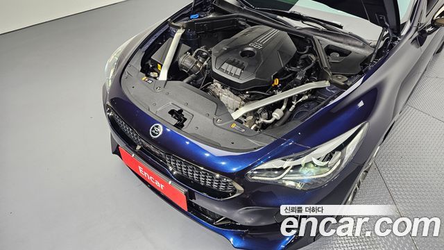 Kia Stinger 2.0 Turbo 2WD Platinum 2020 — фото 6