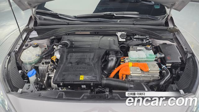 Hyundai Ioniq Hybrid 1.6 HEV Q 2020 — фото 6