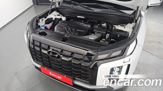 Hyundai Palisade Diesel 2.2 2WD Le Blanc 2024 — фото 6