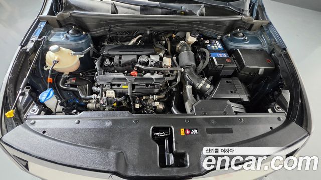 Kia Sportage (V) Gasoline 1.6 Turbo 4WD Signature Gravity 2023 — фото 6