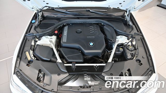 BMW 5 Series (G30) 530i Luxury Plus 2020 — фото 6