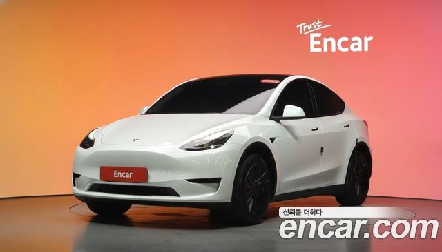 Tesla Model Y RWD 2023 — фото 1